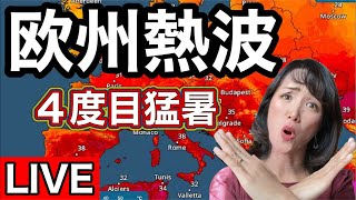 【ライブ】欧州襲う熱波| 干ばつ広がり原発も停止危機|記録的猛暑【イタリア生配信】