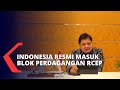 RCEP Agreement and Its Impacts