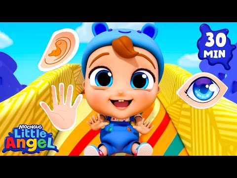 😀My 5 Senses | Little Angel 😇 | Kids Learn! | Nursery Rhymes | Sing Along