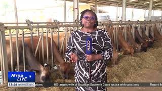 Ugandan researchers develop anti-tick vaccine