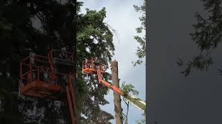 Neighbors hired a new company after this incident