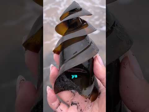 En Tuhaf Ve En Şaşırtıcı 3 Hayvan Yumurtası! 🐌🦈😲