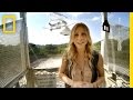 Exploring the Wow Signal and Arecibo Observatory
