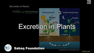 Excretion in Plants