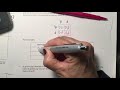 Genetics Probability and Punnett Squares
