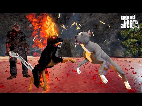 PİTBULL TERMİNATÖR CEHENNEM MAĞARASINDA ASMODEUS'LA DÖVÜŞÜYOR! - GTA 5 PİTBULL'UN HAYATI