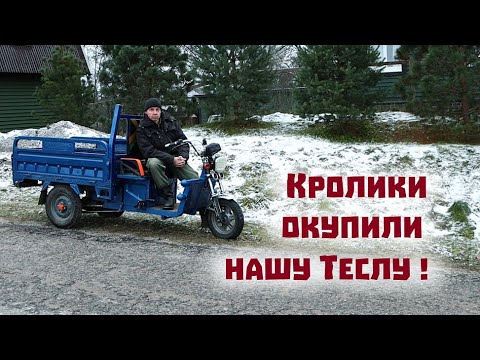 Заработали 200000 на кроликах и окупили свой трицикл!