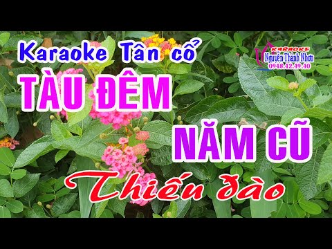 Karaoke tân cổ TÀU ĐÊM NĂM CŨ – THIẾU ĐÀO [Hát cùng Ns Minh Cảnh]