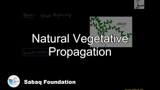 Natural Vegetative Propagation