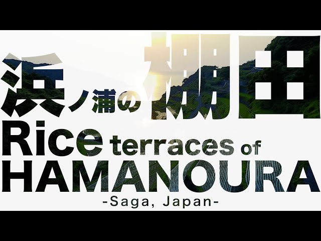 佐賀県 浜野浦の棚田 夕日