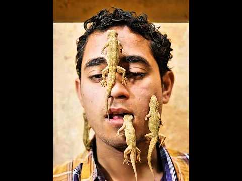 Why Allah create lizard 🦎 #shorts #shortvideo #animals