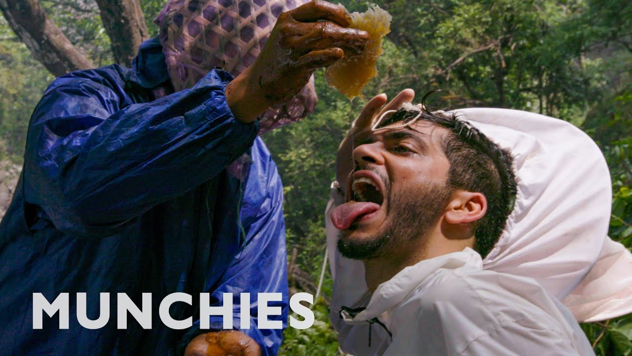 The Nepalese Honey That Makes People Hallucinate