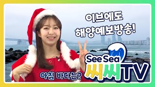 [See Sea TV]25년12월24일 크리스마스 이브 요동치는 바다~ 해양예보방송 시청하고 안전운항! / 해양예보방송
