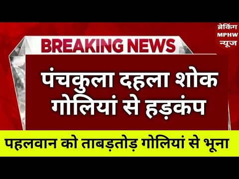 अभी आई बुरी खबर। हरियाणा मे हुआ सबसे बड़ा खुलासा । Haryana news