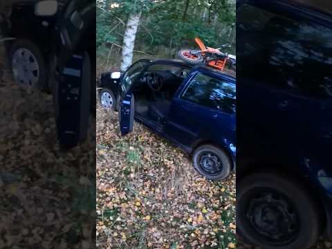Prosto w drzewo