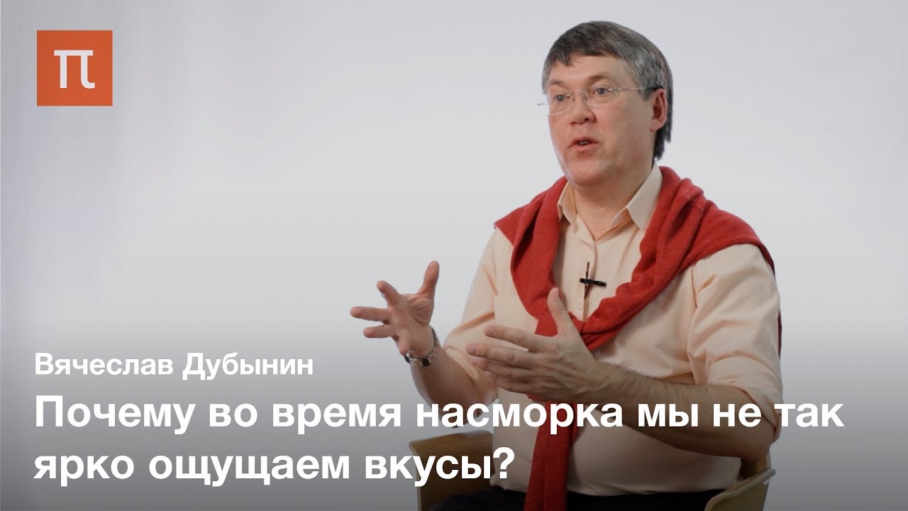 Мозг и вкус - Вячеслав Дубынин