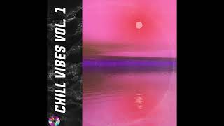 SOUL SAMPLE PACK - CHILL VIBES VOL. 1 (Isaiah Rashad, Mick Jenkins, Aaron May Style)