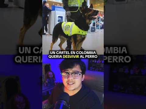 CAPTURÓ A MUCHOS CRIMINALES EN COLOMBIA #curiosidades