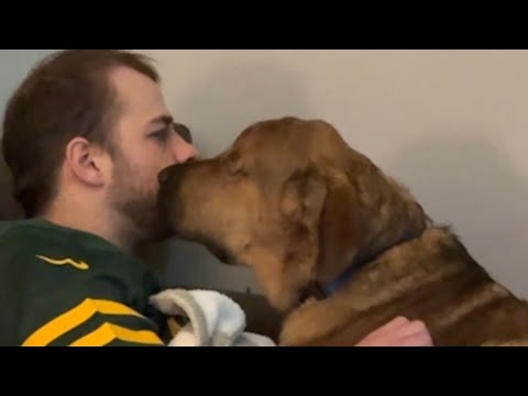 Blind rescue pup melts guy who didn't want him