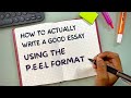 Essay Writing Techniques and Formats