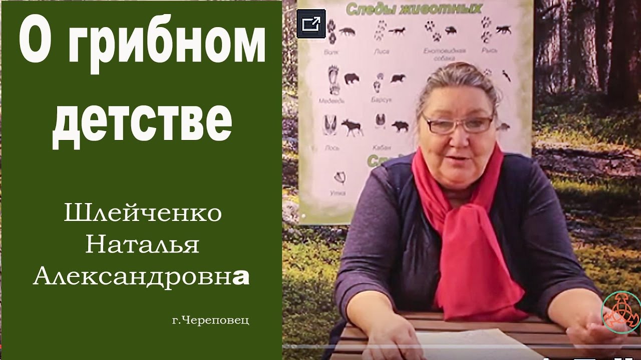 С чего начинается любовь к лесу?