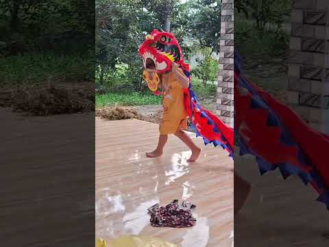 Phở Sợ Bỏ Chạy Khi Thấy Anh Chuột Múa Lân #shorts #ngocdieuvlog123