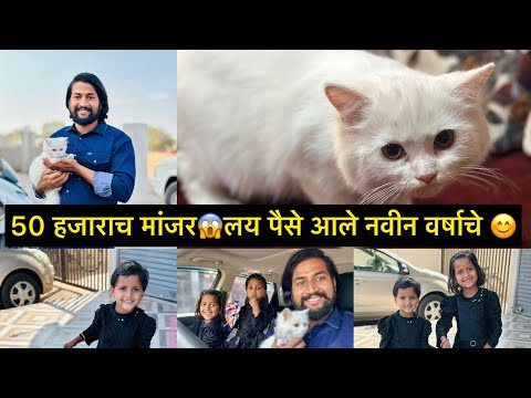 50 हजाराच मांजर😱लय पैसे आले नवीन वर्षाचे 😊बघा लवकर कोणत मांजर आहे 😍