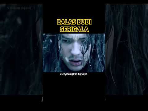BALAS BUDI SERIGALA