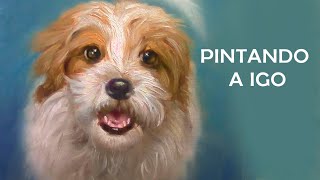 Directo - Pintando a Igo - Retratos de Mascotas