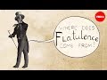 Understanding Flatulence and Gut Bacteria