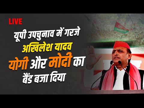 UP By Election: फूलपुर विधानसभा में Akhilesh Yadav की चुनावी जनसभा Live