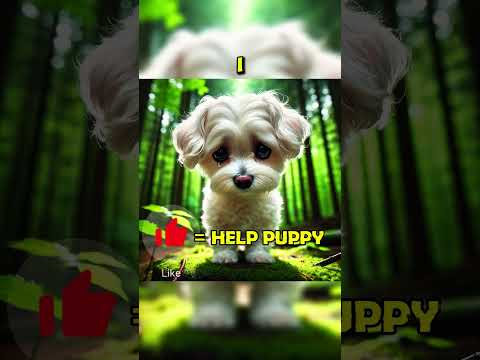 Lion Cub Saves a Puppy's Grandpa. #shorts