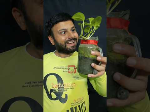 Different Type of Soil Experiment |#trending #shortvideos #viralvideo #comedy #viral #viralchallenge