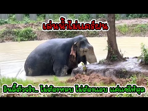 ตอนเด็กๆเคยแอบเล่นน้ำฝนมั้ย... แก้วไม่แอบนะ เล่นเลย!