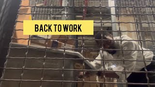 Back to work 