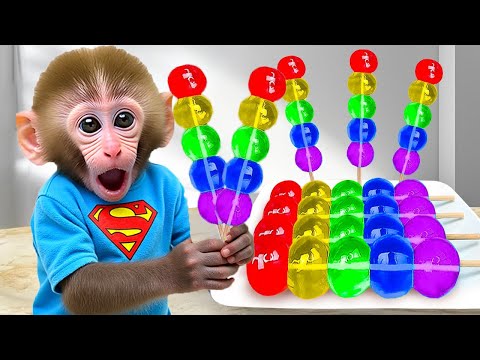 Monkey Baby Bon Bon : A Thrilling Adventure with Bees and Rainbow Candy🐝🍭