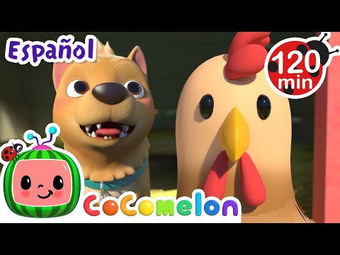 Bingo visita la granja 🐶| Caricaturas infantiles | Moonbug en Español - Cocomelon