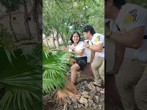 track knocked over by cow so that the two cows could escape #shortsfeed #comedyshort #comedy #short