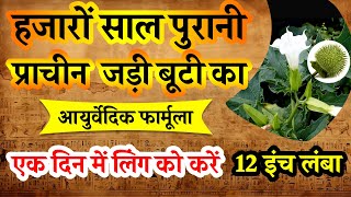 Ek Din Mein Ling Ko Karen 12 inch Lamba Mota || Ling Lamba Mota Karne ke Upay #miraculousancientherb