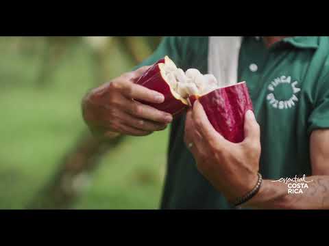 Essential Costa Rica: Something Sweeter