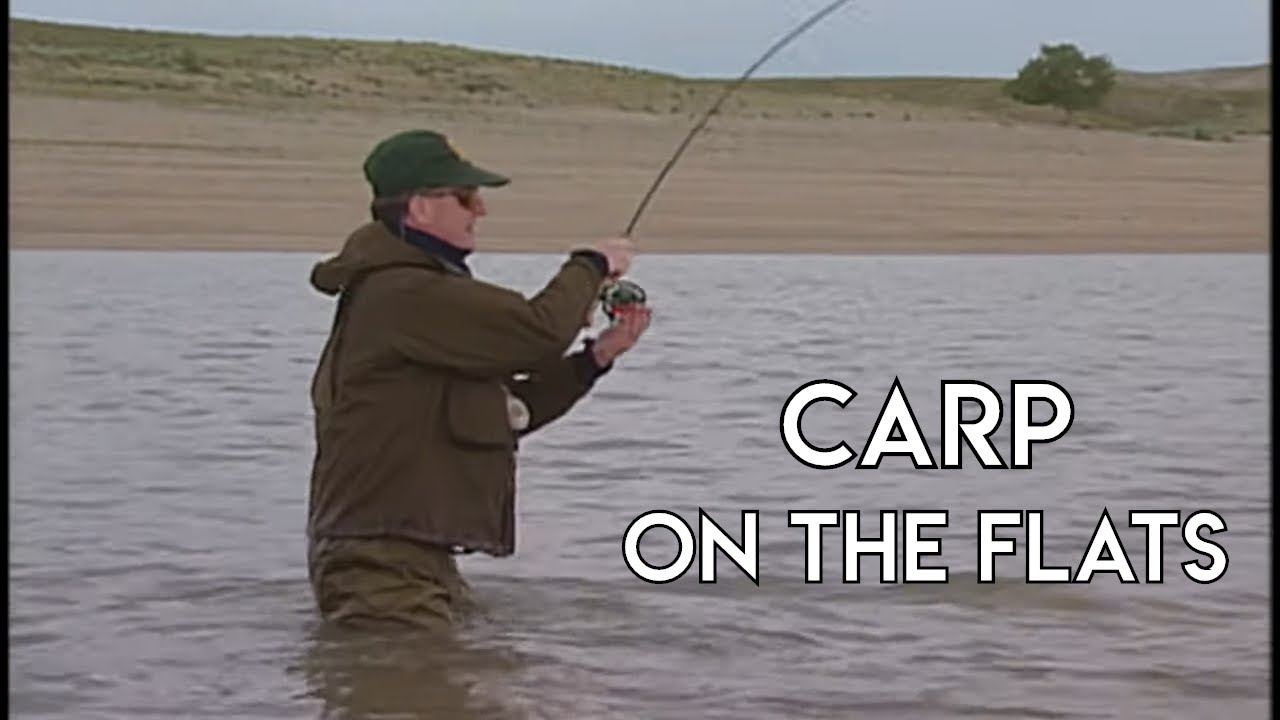 Carp On The Fly & On The Flats - The New Fly Fisher