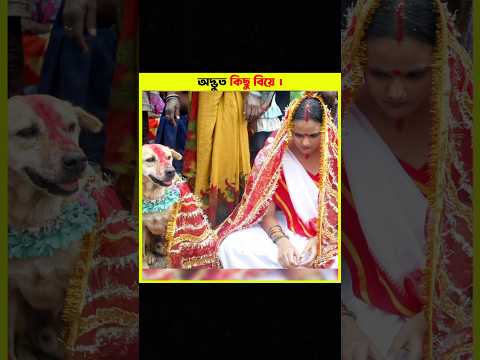অদ্ভুত কিছু বিয়ে 👰😨। VIEWER...