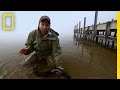 Zeb Hogan's Aquatic Discoveries