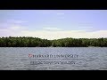 Thoreau's Philosophy and Nature Insights