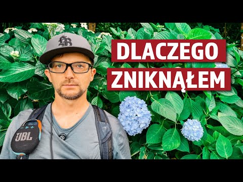 CZYM SIĘ TERAZ ZAJMUJĘ W JAPONII?