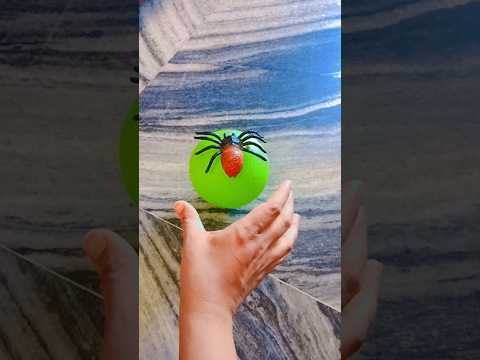 Catch big frogs funny | Try don't laugh |catching frogs make you laugh #shorsviral