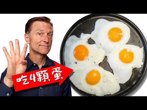 每天吃4顆蛋的原因, 最好蛋白質,柏格醫生 Dr Berg