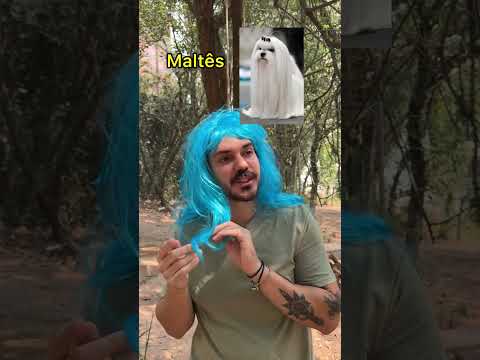 RAÇAS DE CÃES PASSEANDO NO PARQUE