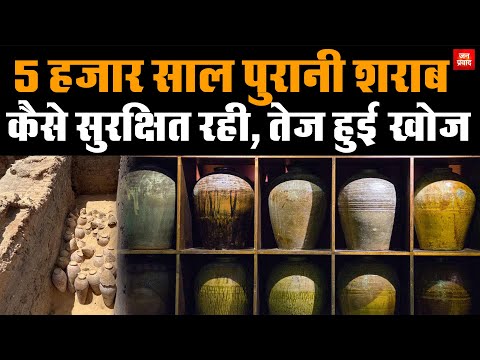 5 thousand year old wine : 5 हजार साल पुरानी शराब | कैसे सुरक्षित रही, तेज हुई खोज | Breaking News |