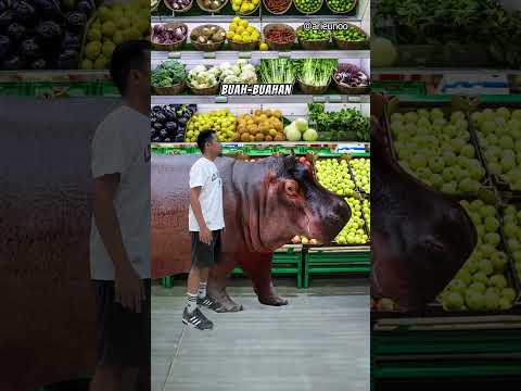 Cara Gila Lawan Kuda Nil yang Marah #survival #shorts #tutorial #wildlife #kudanil #hippopotamus